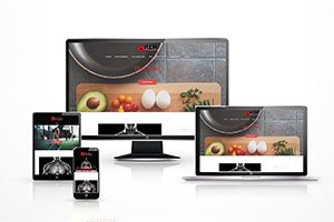 best website development company dlhi ncr